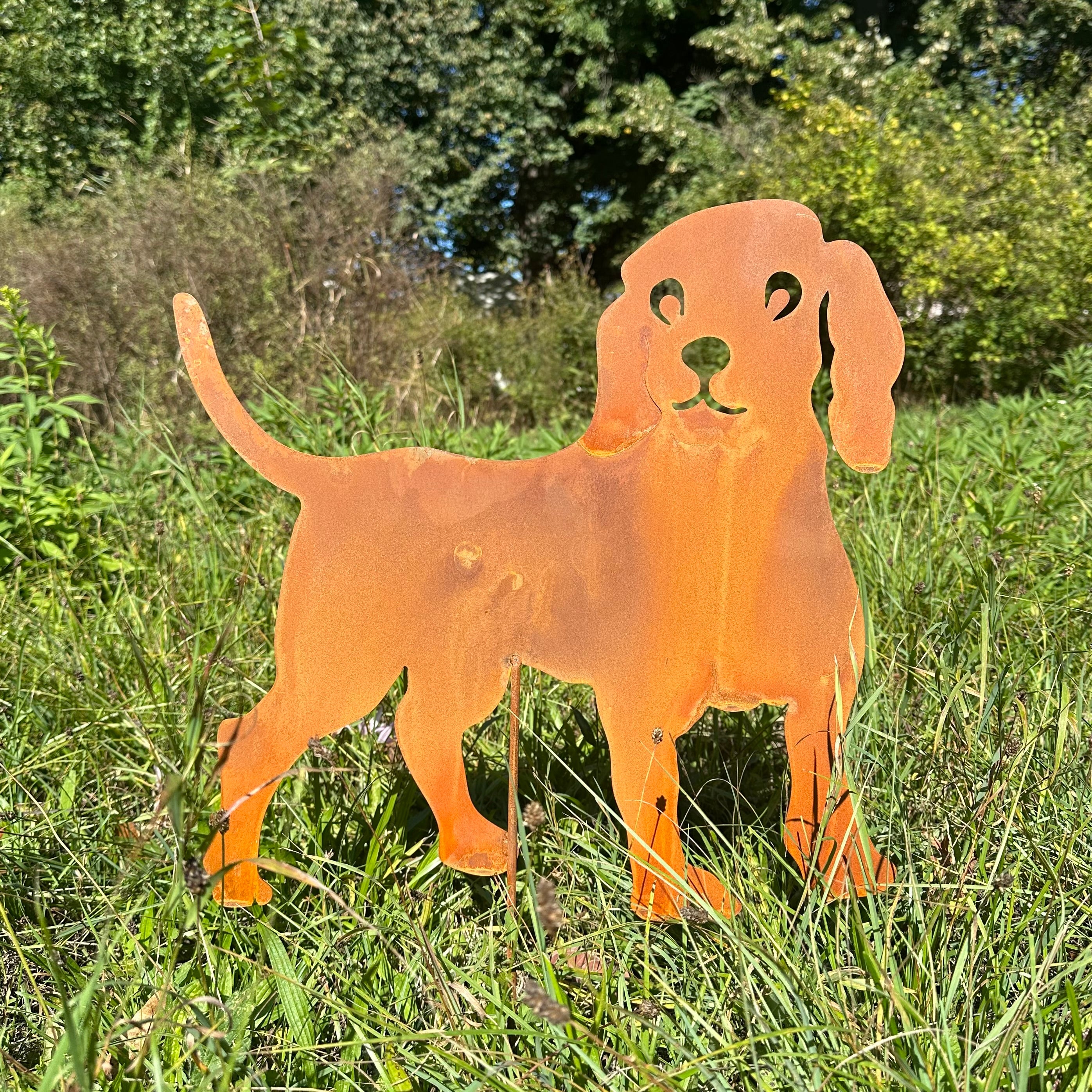 Hund „Beagle”