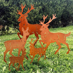 Hirsch Mittelgroß