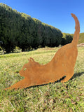 Katze „Dehnend”