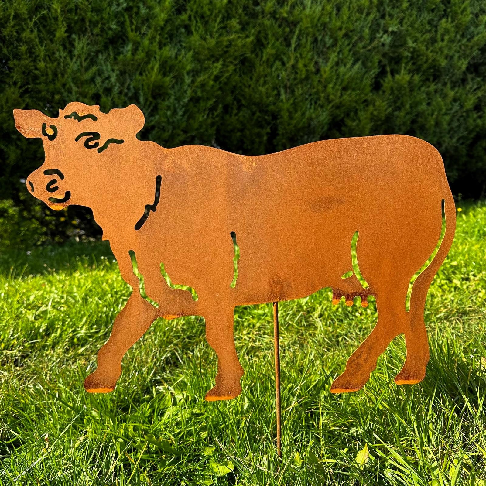 Kuh