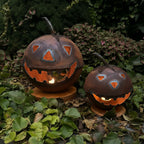 Kürbis
