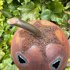 Kürbis