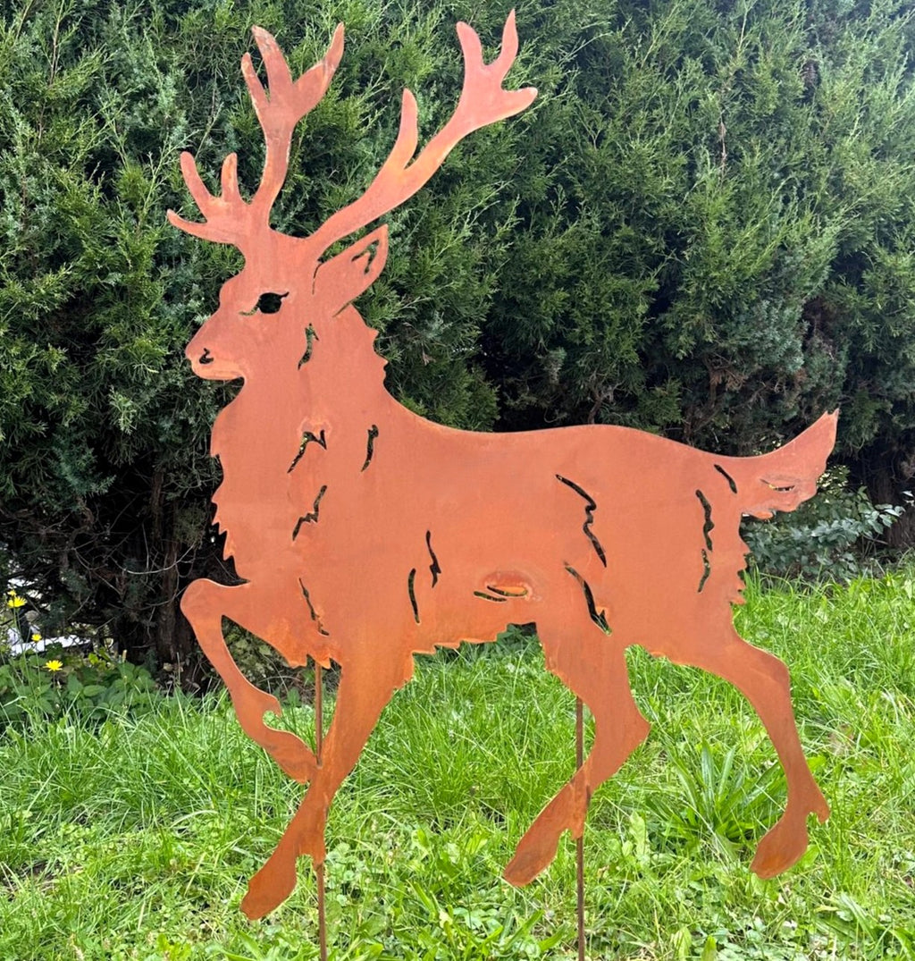 Hirsch Mittelgroß