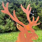 Hirsch Mittelgroß