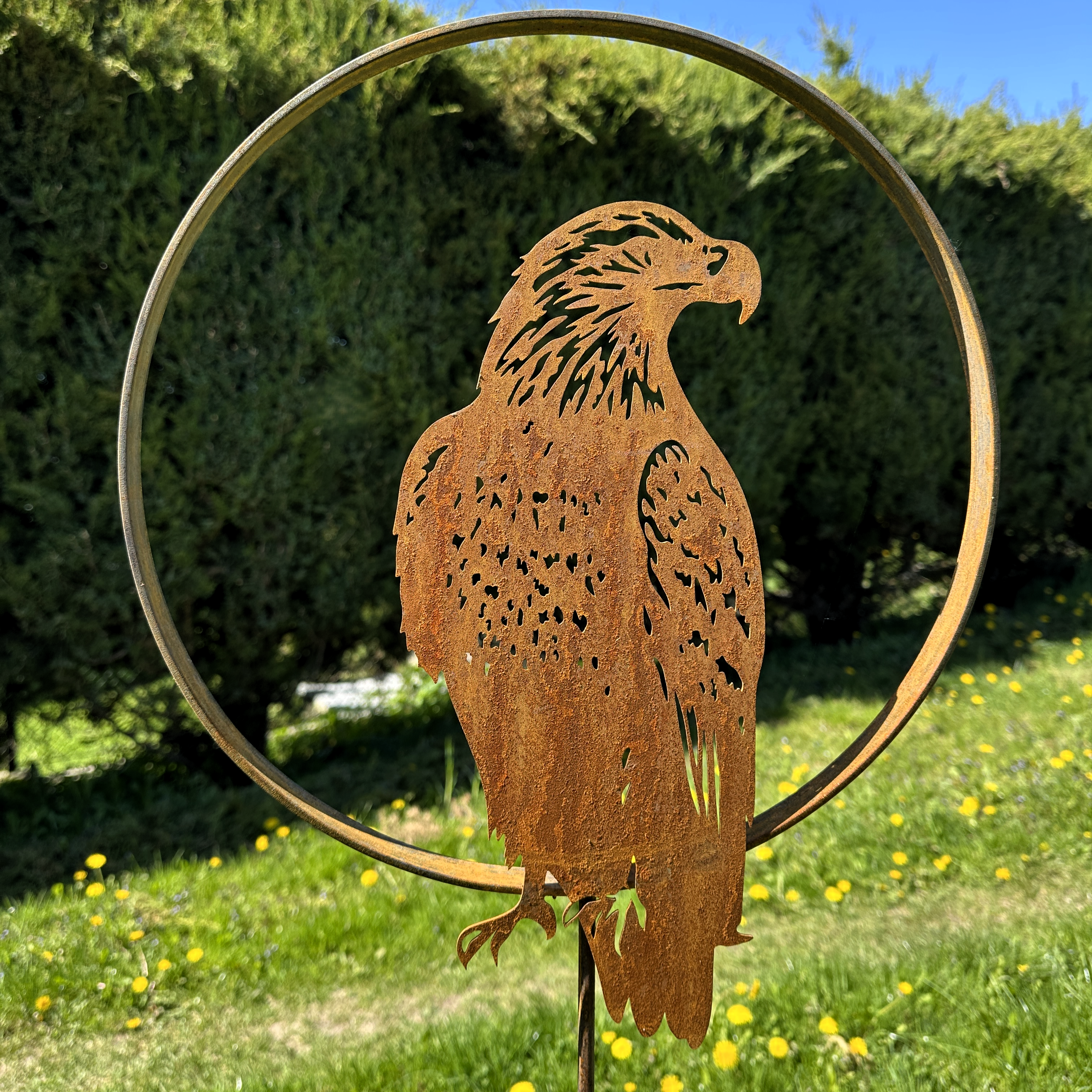 Adler „im Kreis”